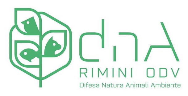 Associazione dnA Rimini Onlus